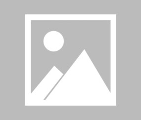 kaiyun-纳达尔二十赛季高光引爆体坛，公牛球迷沸腾共庆传奇！纳达尔二十赛季高光引爆体坛，公牛球迷沸腾共庆传奇！